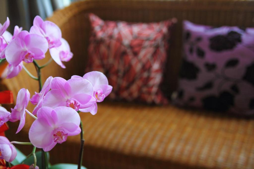 Jimei Homestay Цзянь Экстерьер фото